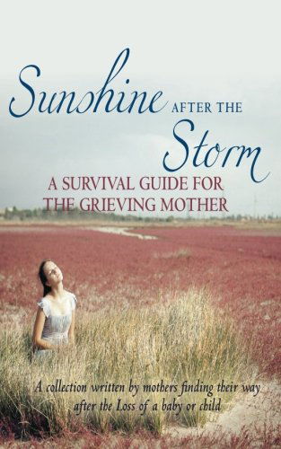 Cover for Alexa H Bigwarfe · Sunshine After the Storm: a Survival Guide for the Grieving Mother (Pocketbok) (2013)