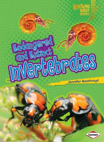 Cover for Jennifer Boothroyd · Endangered and Extinct Invertebrates - Lightning Bolt Books Animals in Danger (Paperback Book) (2014)