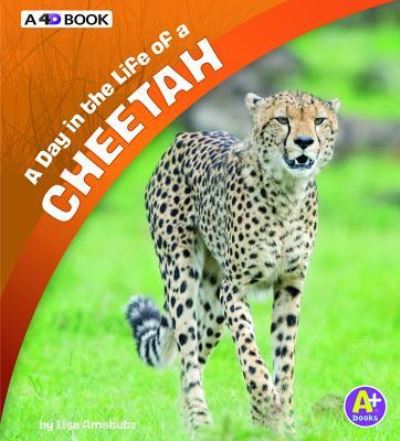 Cover for Lisa J. Amstutz · A Day in the Life of a Cheetah: A 4D Book (Hardcover Book) (2018)