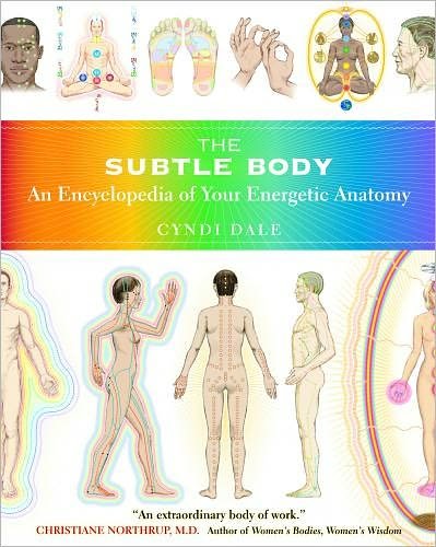 Cover for Cyndi Dale · The Subtle Body: An Encyclopedia of Your Energetic Anatomy (Paperback Book) (2009)