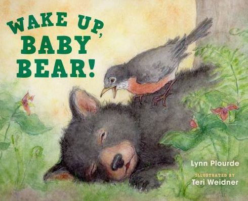 Cover for Lynn Plourde · Wake Up, Baby Bear! (Hardcover Book) (2018)