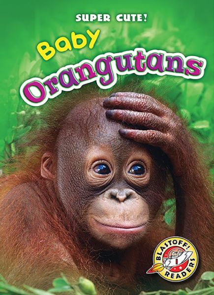 Cover for Christina Leaf · Baby Orangutans (Super Cute!) (Hardcover Book) (2015)