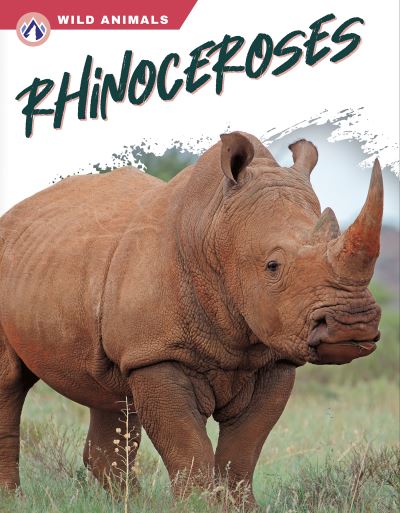 Cover for Rachel Hamby · Rhinoceroses (Book) (2023)