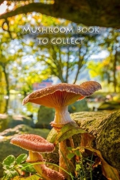 Cover for Mushroom Picker Diary · Mushroom book to collect (Pocketbok) (2019)