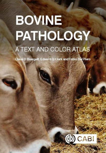 Cover for Buergelt, Dr Claus D (Professor Emeritus, University of Florida, USA) · Bovine Pathology: A Text and Color Atlas (Hardcover Book) (2018)