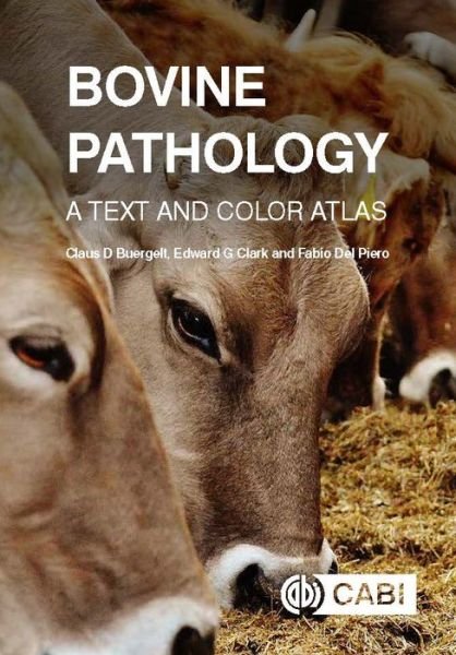 Cover for Buergelt, Dr Claus D (Professor Emeritus, University of Florida, USA) · Bovine Pathology: A Text and Color Atlas (Inbunden Bok) (2018)