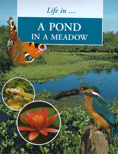 Cover for Sally Morgan · Pond in the Meadow - Life in (Hardcover Book) (2000)