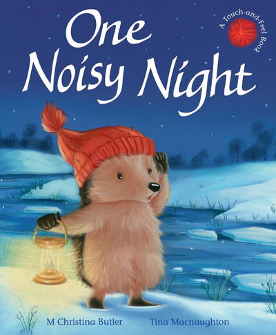 Cover for M Christina Butler · One Noisy Night - Little Hedgehog (Hardcover Book) (2016)