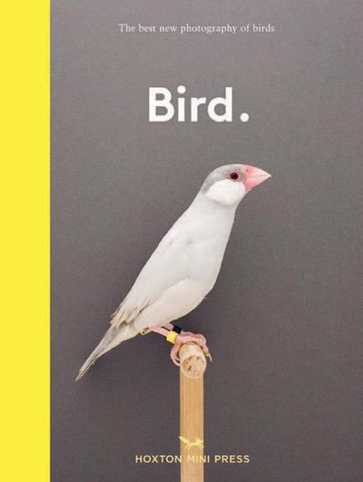 Cover for Hoxton Mini Press · Bird.: The best new photography of birds (Hardcover Book) (2022)