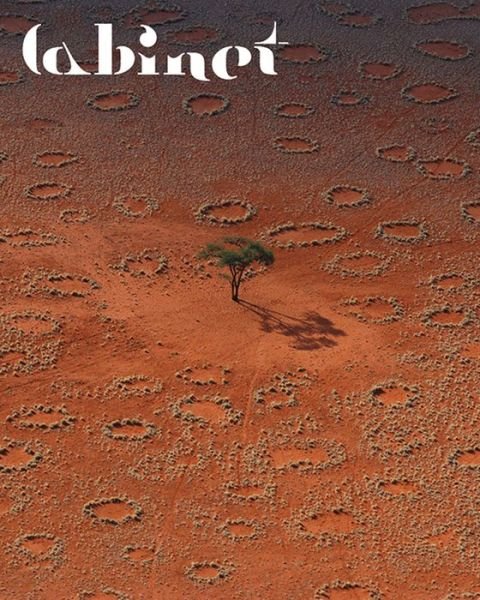 Cover for Cabinet 63 : The Desert (Paperback Book) (2017)