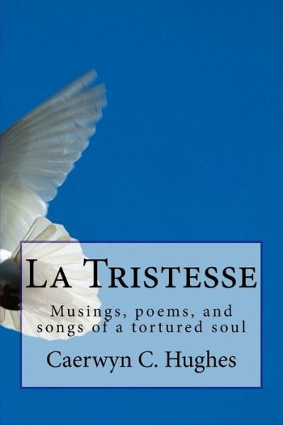 Cover for Caerwyn C Hughes · La Tristesse (Paperback Book) (2018)