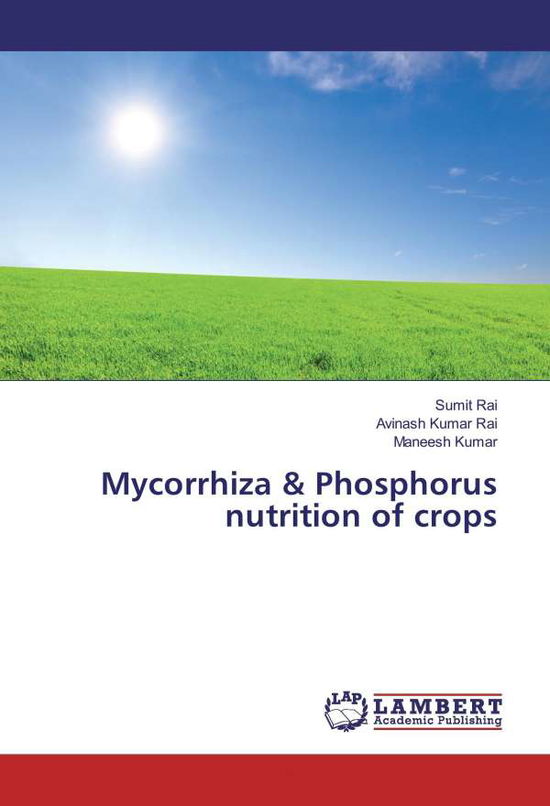 Cover for Rai · Mycorrhiza &amp; Phosphorus nutrition o (Book)