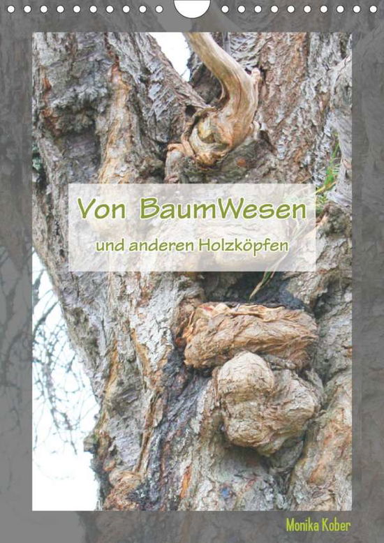 Cover for Kober · Von BaumWesen und anderen Holzköp (Book)