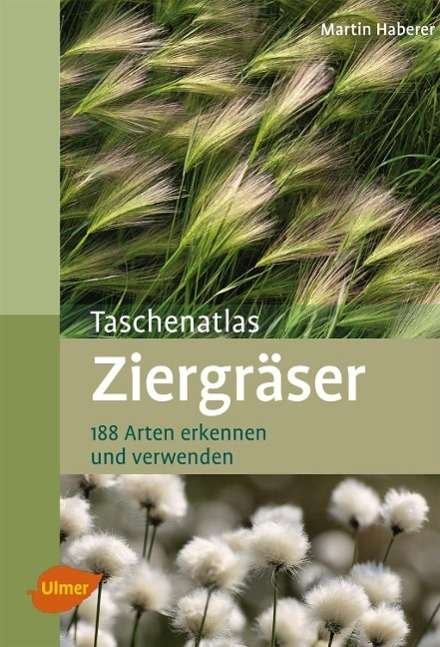 Taschenatlas Ziergräser - Haberer - Böcker -  - 9783800182718 - 