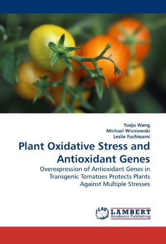 Cover for Yueju Wang · Plant Oxidative Stress and Antioxidant Genes: Overexpression of Antioxidant Genes in Transgenic Tomatoes Protects Plants Against Multiple Stresses (Pocketbok) (2009)