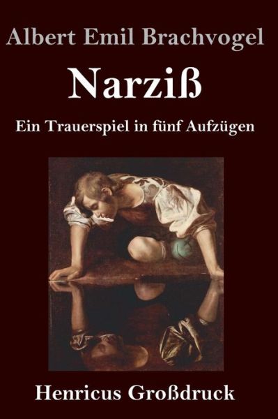 Cover for Albert Emil Brachvogel · Narziss (Grossdruck) (Hardcover Book) (2019)