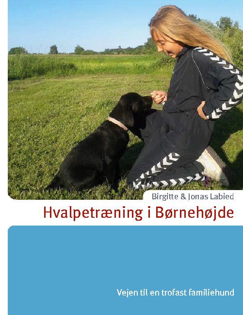 Hvalpetræning i Børnehøjde - Jonas Labied; Birgitte Labied; Birgitte Labied; Jonas Labied - Books - BoD - Books on Demand - 9788743019718 - April 9, 2021