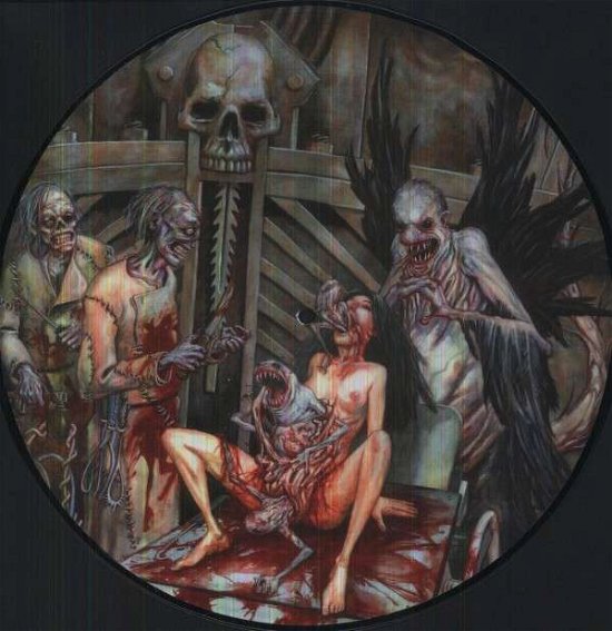 Cover for Cannibal Corpse · The Wretched Spawn by Cannibal Corpse (VINYL) [Picture Disc edition] (2013)