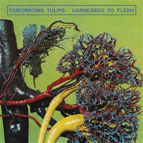 Harnessed To Flesh - Tomorrows Tulips - Music - Burger Records - 0634457877719 - January 10, 2019