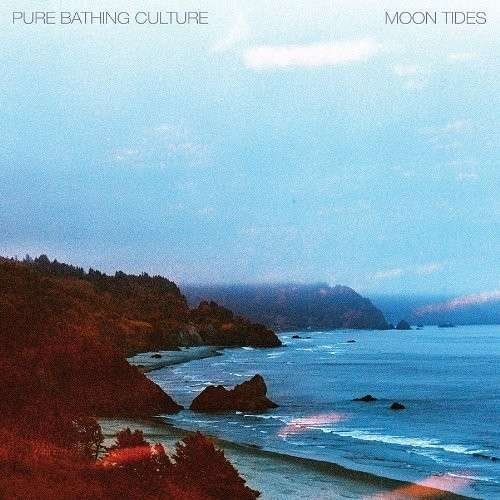 Cover for Pure Bathing Culture · Moon Tides (LP) (2013)
