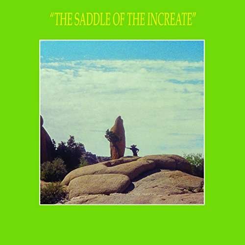 Cover for Sun Araw · Saddle Of The Increate (LP) [Standard edition] (2017)