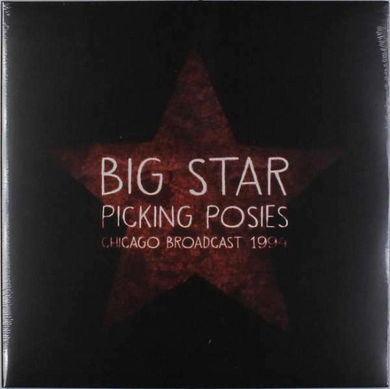 Picking Posies - Big Star - Musik - LET THEM EAT VINYL - 0803341497719 - 25. März 2016
