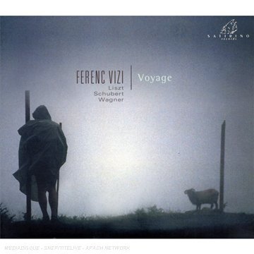 Cover for Liszt / Vizi,ferenc · Voyage (CD) (2008)