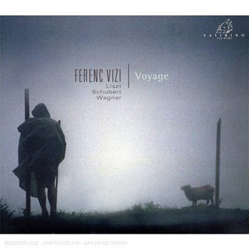 Voyage - Liszt / Vizi,ferenc - Music - STT - 3760061190719 - February 26, 2008