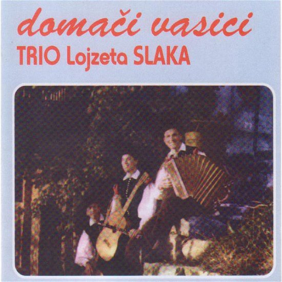 Cover for Ansambel Lojzeta Slaka · Domači Vasici (CD) (1999)