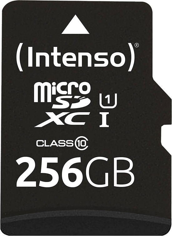 Cover for SD MicroSDXC Card 256GB Intenso UHS-I inkl. SD- Ad (ACCESSORY) (2024)