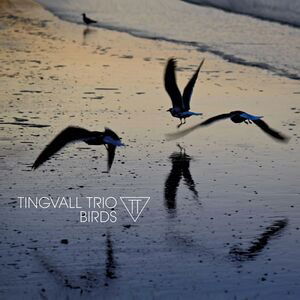 Birds - Tingvall Trio - Muziek - SKIP - 4037688919719 - 4 augustus 2023