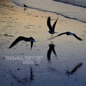 Birds - Tingvall Trio - Musikk - SKIP - 4037688919719 - 4. august 2023