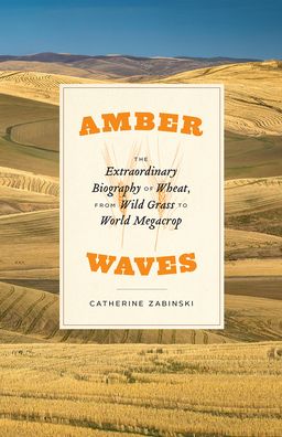 Cover for Catherine Zabinski · Amber Waves: The Extraordinary Biography of Wheat, from Wild Grass to World Megacrop (Gebundenes Buch) (2020)
