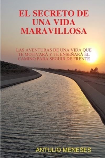 Cover for Antulio Meneses · Secreto de una Vida Maravillosa (Book) (2019)