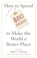 How to Spend $50 Billion to Make the World a Better Place - Bjorn Lomborg - Kirjat - Cambridge University Press - 9780521685719 - maanantai 12. kesäkuuta 2006
