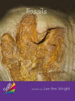 Cover for Rigby · Book 2 : Fossils : Leveled Reader Purple Grade 3 (Paperback Bog) (2013)