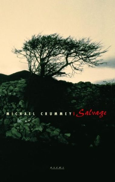 Salvage - Michael Crummey - Livros - McClelland & Stewart Inc. - 9780771024719 - 26 de março de 2002