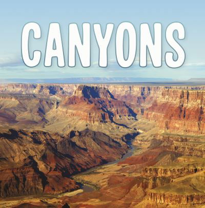 Cover for Lisa J. Amstutz · Canyons - Earth's Landforms (Paperback Bog) (2021)