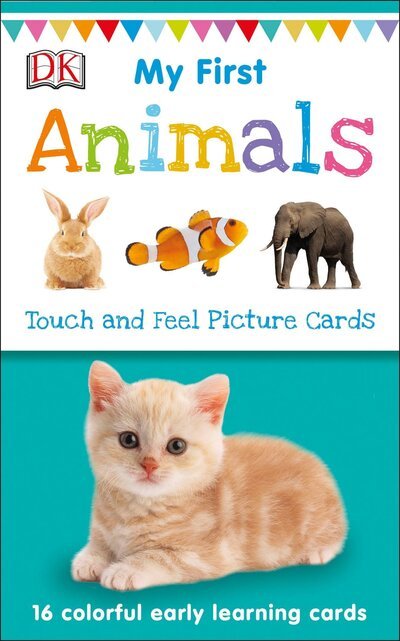 Cover for Dk · My First Touch and Feel Picture Cards Animals (Cards) (2018)