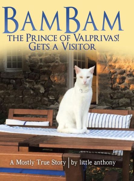 Cover for Little Anthony · Bambam the Prince of Valprivas! Gets a Visitor (Hardcover Book) (2018)