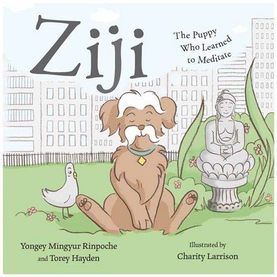 Cover for Rinpoche Yongey Mingyur · Ziji: The Puppy Who Learned to Meditate (Hardcover Book) (2017)