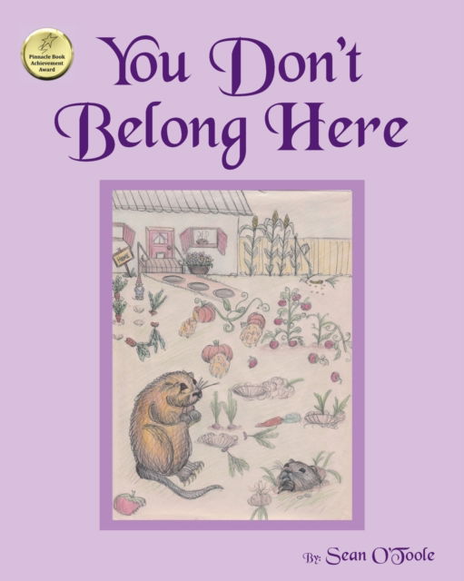 Cover for Sean O'Toole · You Don't Belong Here (Paperback Book) (2019)