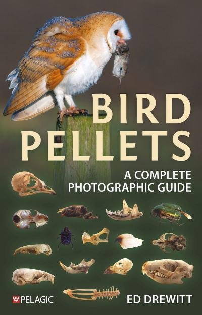 Ed Drewitt · Bird Pellets: A Complete Photographic Guide - Pelagic Identification Guides (Paperback Bog) (2024)
