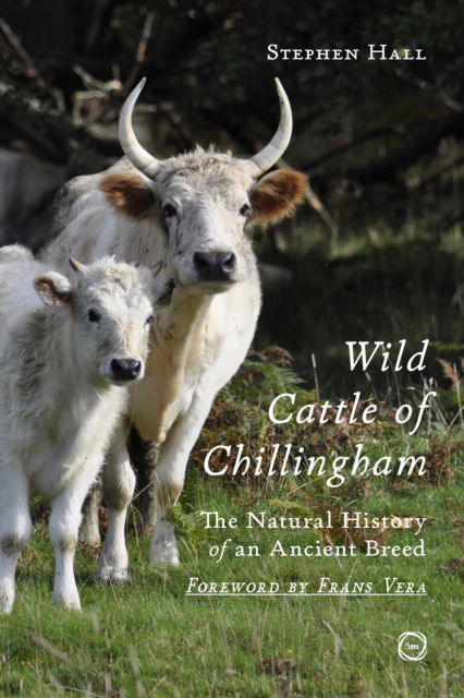 Cover for Stephen Hall · Wild Cattle of Chillingham: The Natural History of an Ancient Breed (Hardcover bog) (2025)