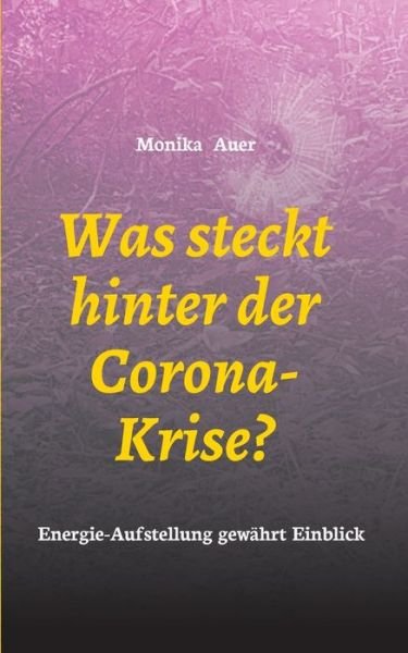 Cover for Auer · Was steckt hinter der Corona-Krise (Bok) (2020)