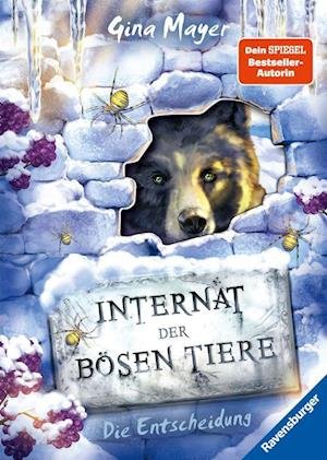 Cover for Gina Mayer · Internat der bösen Tiere, Band 6: Die Entscheidung (Bok) (2022)