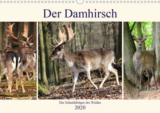 Cover for Klatt · Der Damhirsch - Der Schaufelträge (Book)