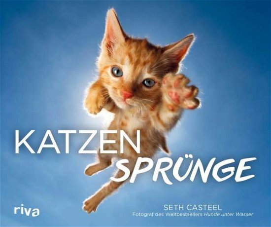 Cover for Casteel · Katzensprünge (Bok)