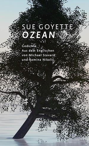 Ozean - Sue Goyette - Books - Matthes & Seitz Berlin - 9783751809719 - March 7, 2024