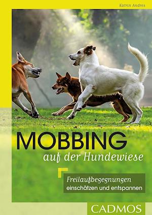 Cover for Katrin Andres · Mobbing auf der Hundewiese (Book) (2023)